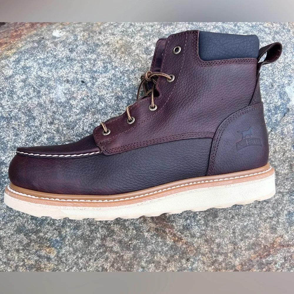 Irish Setter step into